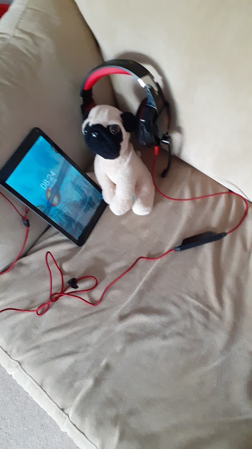One of Freddie's soft toys wearing headphones and playing on his tablet