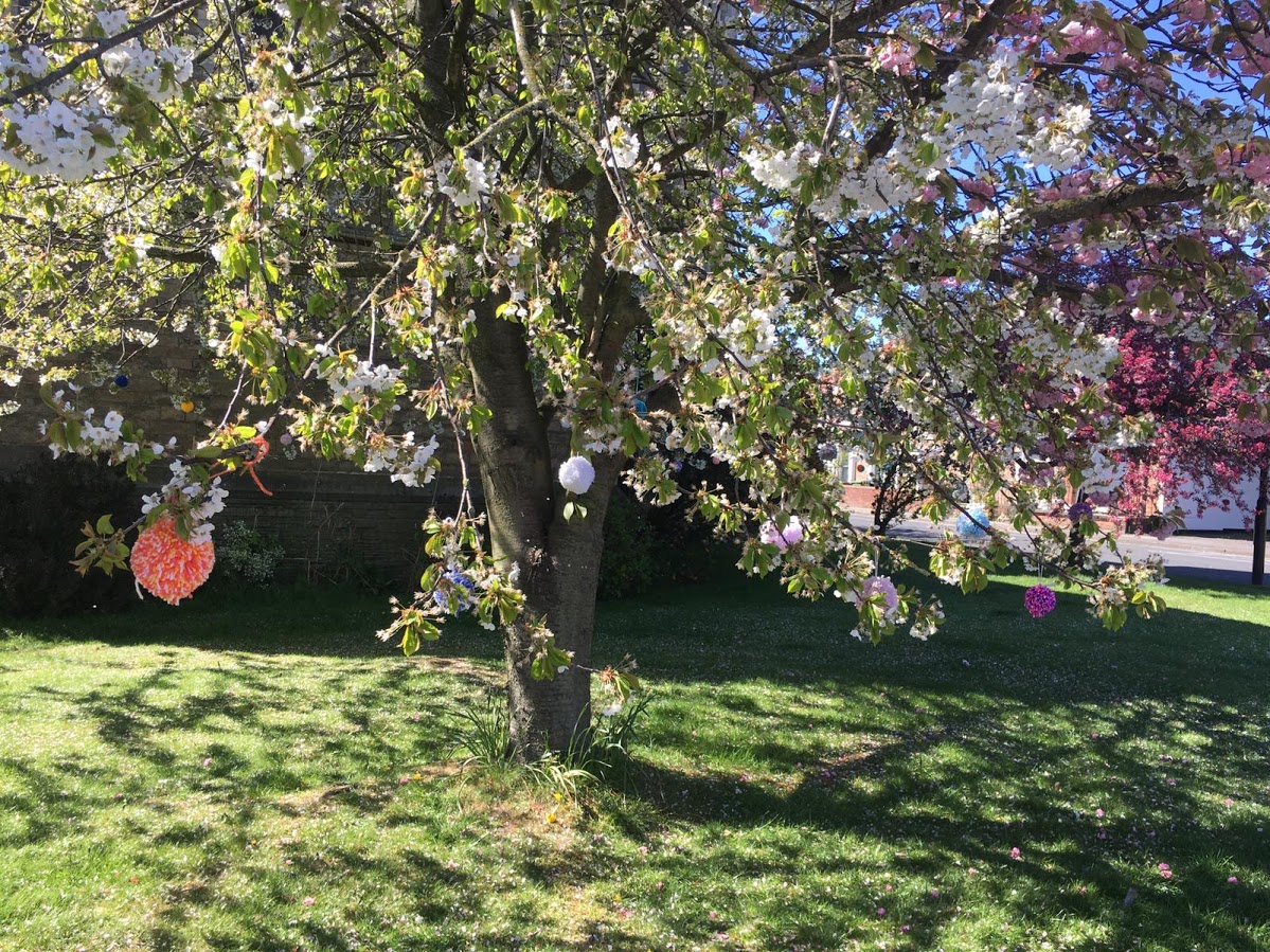 pompoms hanging from a tree in Selby